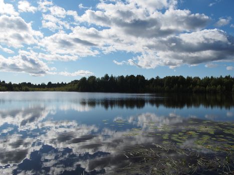 Lake in the summer