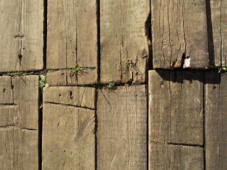 wooden wall