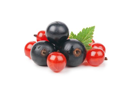 Red and black currants with green leaf isolated over white background