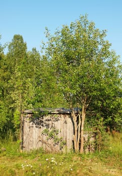 The old thrown house in village in the spring.         