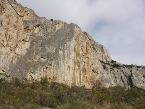 tree, sky and rock 