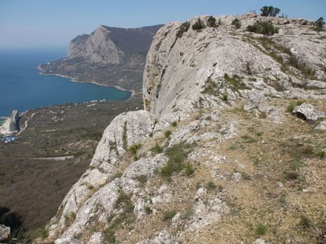 trees, sky and rock