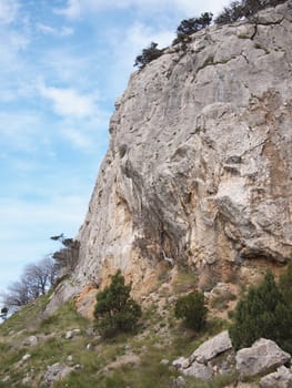 trees, sky and rock