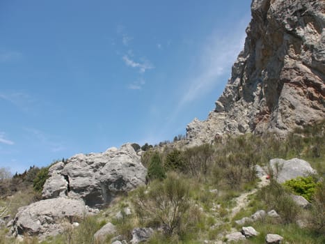 tree, sky and rock