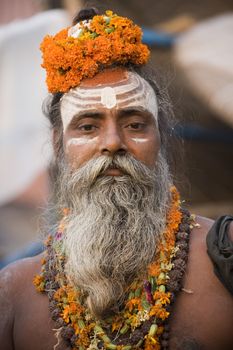 Hindu Sadhu (holy man) on the Hindu Ghats in Varanasi in the Uttar Pradesh region of India.