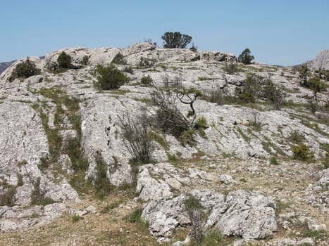 trees, sky and rock