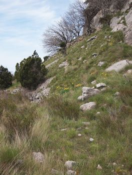 trees, sky and rock