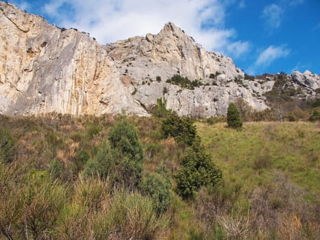 tree, sky and rock 