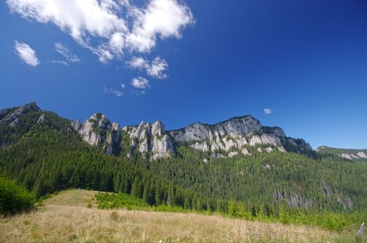 Summer mountain view and the blue sky behind