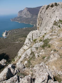 trees, sky and rock