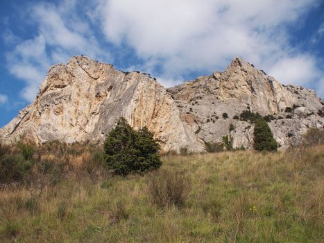tree, sky and rock 
