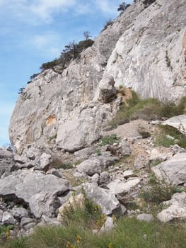 trees, sky and rock