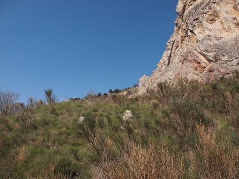 trees, sky and rock 
