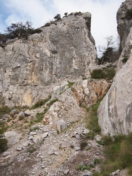 trees, sky and rock