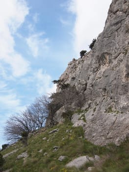 trees, sky and rock 