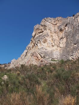 trees, sky and rock 