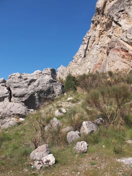 trees, sky and rock 
