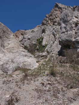 trees, sky and rock 