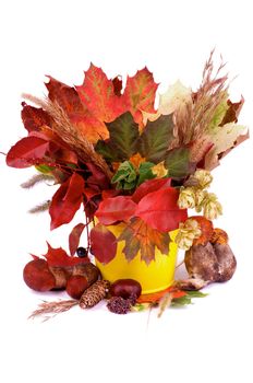 Arrangement of Autumn Leafs, Dry Grass, Green Hop Cones and Berries in Yellow Bucket with Forest Mushrooms isolated on white background