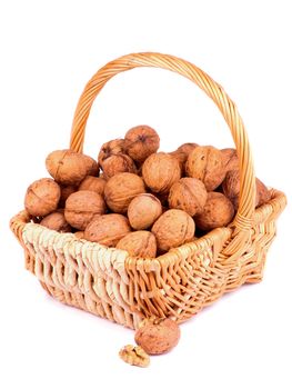 Ripe Walnuts in Wicker Basket isolated on white background