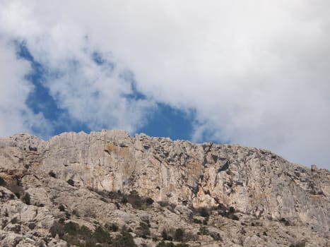 trees, sky and rock 