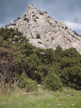 trees, sky and rock 