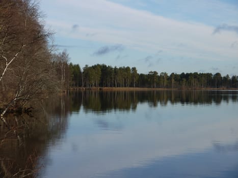 Coast of lake in the autumn