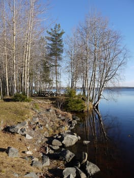 Coast of lake in the autumn