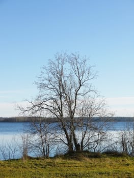 Coast of lake in the autumn