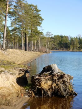 Coast of lake in the autumn