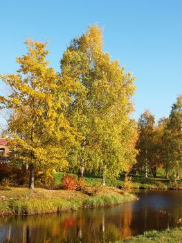 Park in the fall                