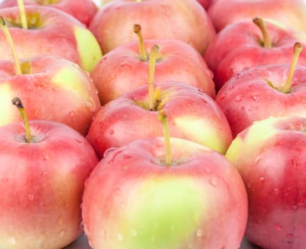 fresh red apples closeup