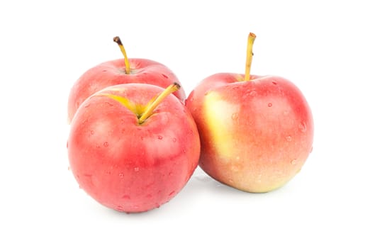 three fresh red apples. Isolated on white background. Close-up. Studio photography.