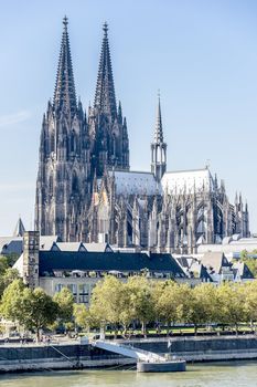 Cathedral of Cologne with trees on the banks of the Rhine in sunny weather in Germany