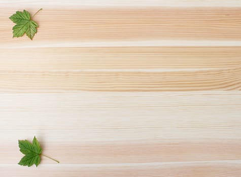 Two green sycamore leaves on a wooden background with copy space