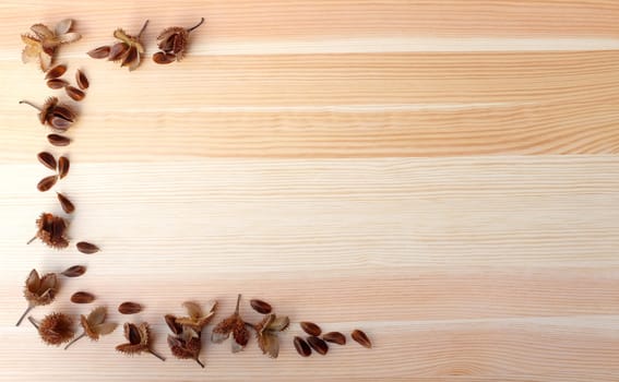 Beech nuts and empty nut shells form a half border on woodgrain background with copy space