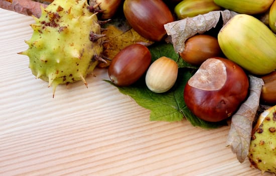 Cobnuts, horse chestnuts, acorns and autumn leaves form a diagonal border on a wooden background with copy space