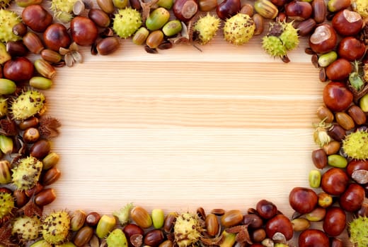 Fall detritus of beechnuts, horse chestnuts and acorns form a rectangular frame on a wooden background with copy space