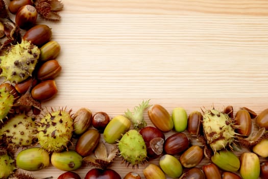 Green and brown two-sided frame of natural autumn material - conkers, acorns, cobnuts and beechnuts - on a woodgrain background with copy space