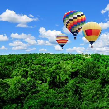 Hot air balloons over the forest with blue sky