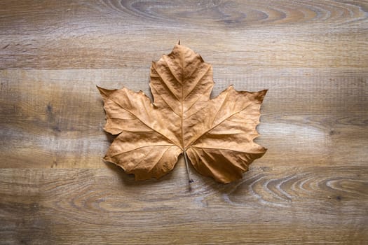 Autumn leaf isolated over a wooden background