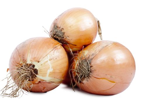 fresh golden onion isolated on white background