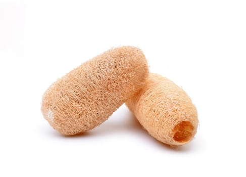 loofah isolated on white background