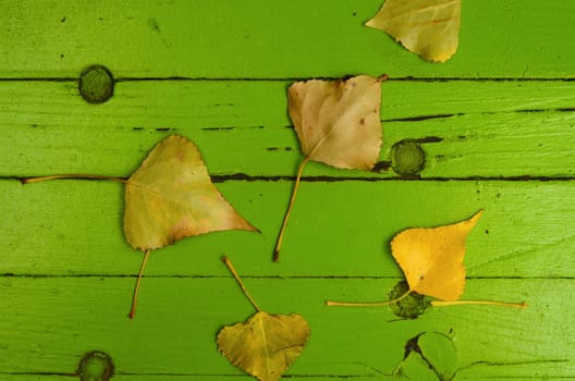 Autumn Fall Image Of Leaves On Old Painted Green Wood Background