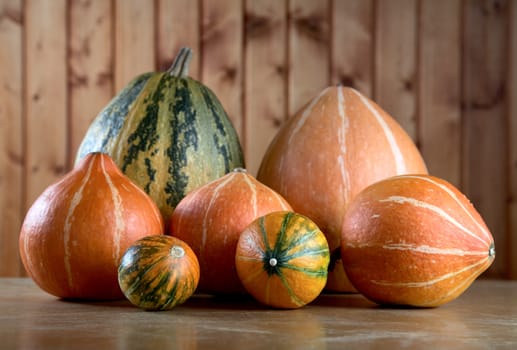 Vegetable marrow and pumpkins against a board wall