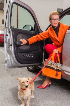 Stylish mature woman wearing glasses and a glamorous orange outfit with her little dog on a lead alighting from the open door of her car