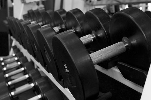 Image of a full weight rack for hand dumbbells at a commercial gym
