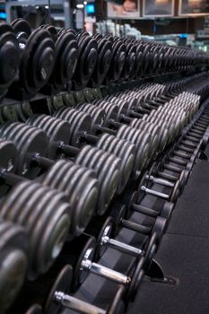 Image of a full weight rack for free weights at a commercial gym