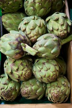 Fresh green artichokes in a wooden bin in a grocery store produce department