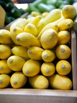 Grocery store bin filled with yellow squash